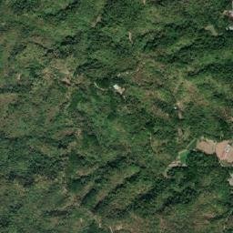 Lidlidda map(satellite map)