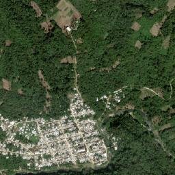 Hidalgo Joshil map(satellite map)