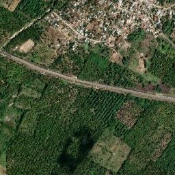 Alcholoa map(satellite map)