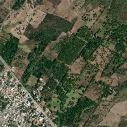 Zacualpan map(satellite map)