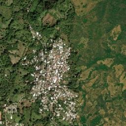 La Palma map(satellite map)