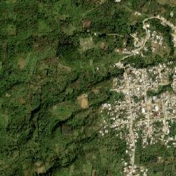 Carmen Zacatal map(satellite map)