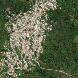 El Bosque map(satellite map)