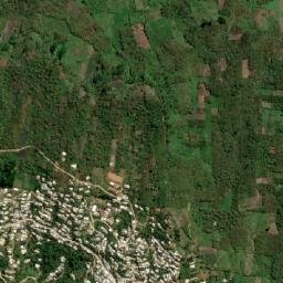 Los Plátanos map(satellite map)