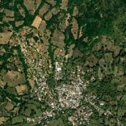 Los Saucitos map(satellite map)