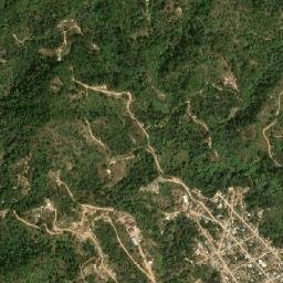 Buena Vista map(satellite map)