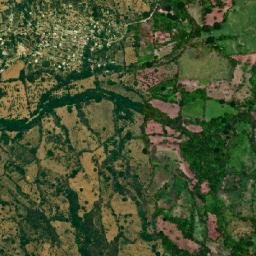 Ocotlán map(satellite map)
