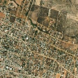 Vicente Guerrero map(satellite map)
