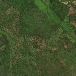 Mesones Hidalgo map(satellite map)