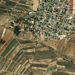 Reyes Mantecón map(satellite map)