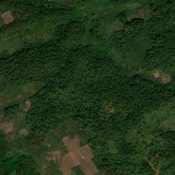 Altamirano map(satellite map)