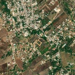 Viva Cárdenas map(satellite map)