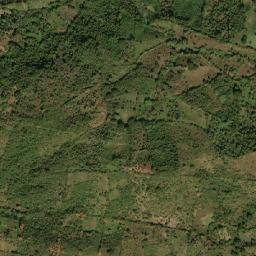 Igualapa map(satellite map)