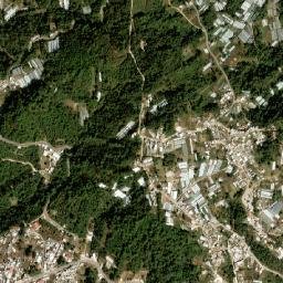 Bochojbo Alto map(satellite map)