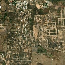 Cintalapa map(satellite map)