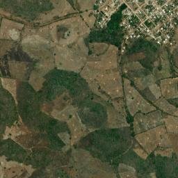 Alfonso Moguel map(satellite map)