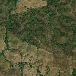 Azoyú map(satellite map)