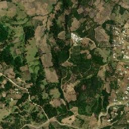 Los Pozos map(satellite map)
