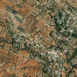 Agua del Espino map(satellite map)