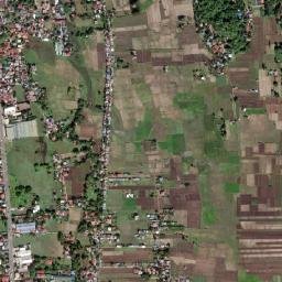 Paringao map(satellite map)
