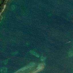 Savannah Bight map(satellite map)