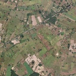 Amphoe Moeiwadi map(satellite map)