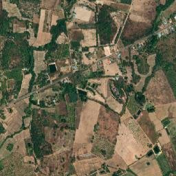 Amphoe Wang Pong map(satellite map)