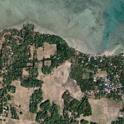 Carot map(satellite map)
