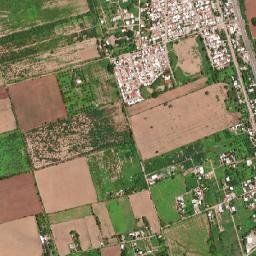 La Noria map(satellite map)