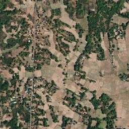 Toritori map(satellite map)