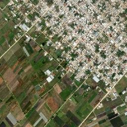 El Triunfo map(satellite map)
