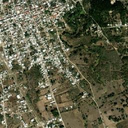 La Trinitaria map(satellite map)