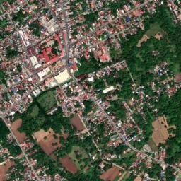 San Carlos map(satellite map)