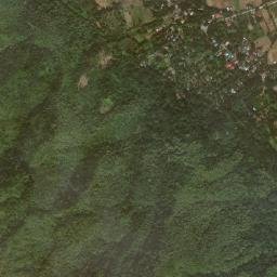 Puncan map(satellite map)