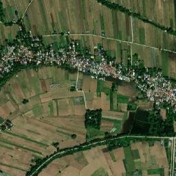Olea map(satellite map)