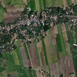 Pogonsili map(satellite map)