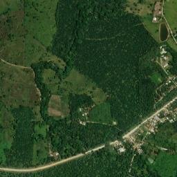 La Brea map(satellite map)