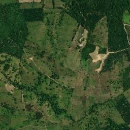 Corocito map(satellite map)