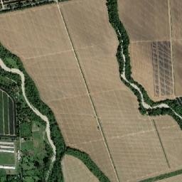 El Pino map(satellite map)