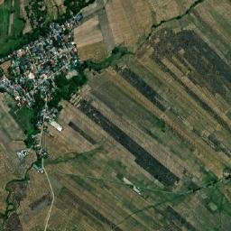 Palusapis map(satellite map)