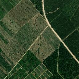 Tocoa map(satellite map)