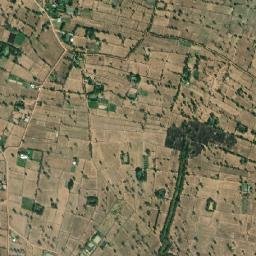 Amphoe Pathum Rat map(satellite map)