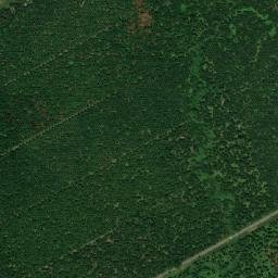 Zamora map(satellite map)