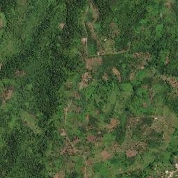 Wesley map(satellite map)