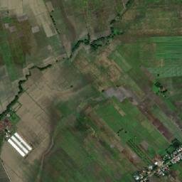 San Alejandro map(satellite map)