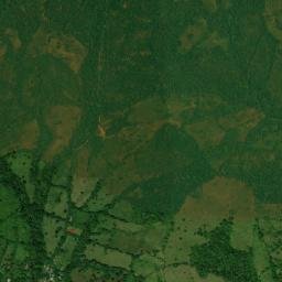 Carbajales map(satellite map)