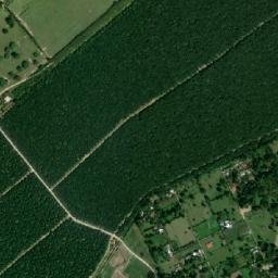 Municipio de Morales map(satellite map)