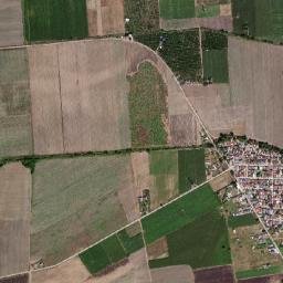 Pando map(satellite map)