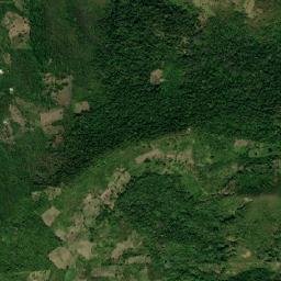 Nuevo Chamelecón map(satellite map)