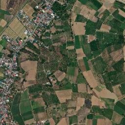 Nieves map(satellite map)